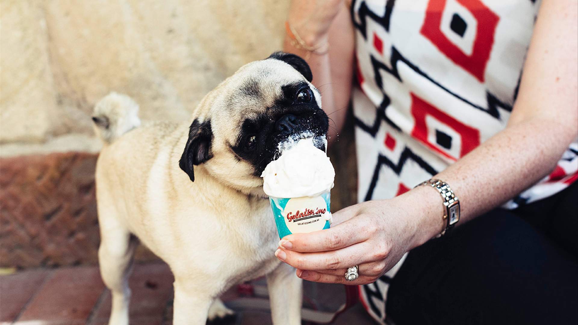 Australia's Getting a New Gelato Range... For Dogs Concrete Playground