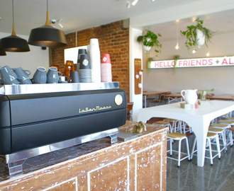 Hello Friends + Allies