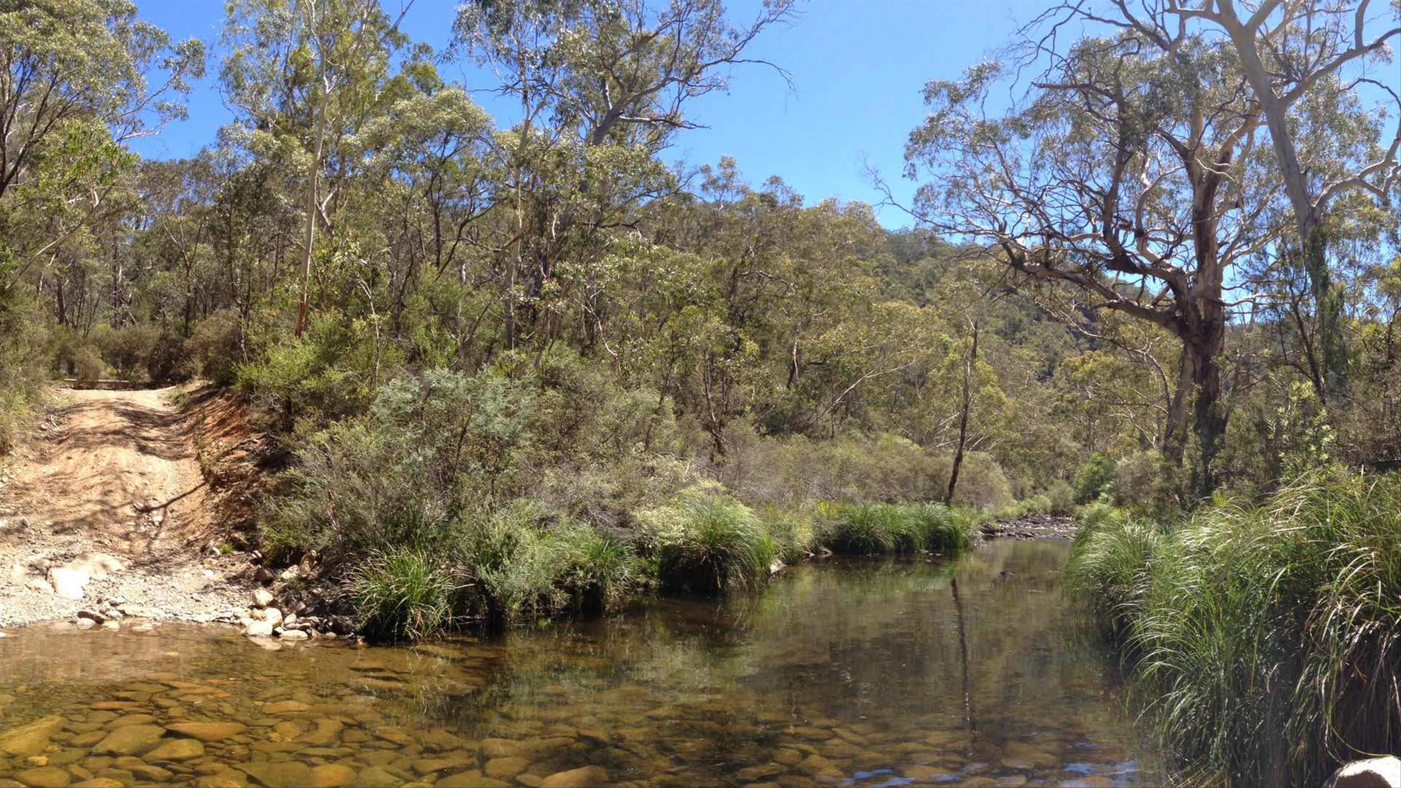 The Best Rivers For Swimming Near Sydney For 2023