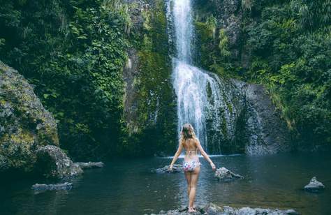 The Six Best Swimming Holes in Auckland