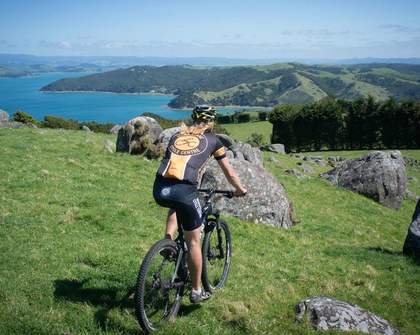 The Eight Best Bike Rides in Auckland
