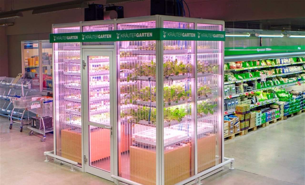 This German Supermarket Has Its Own In-Store Farm