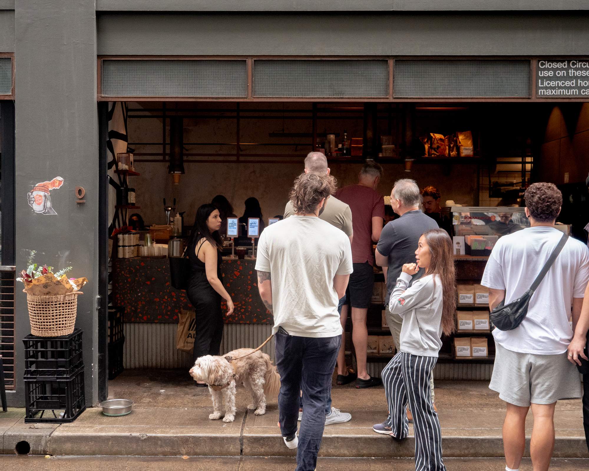 Single O Surry Hills