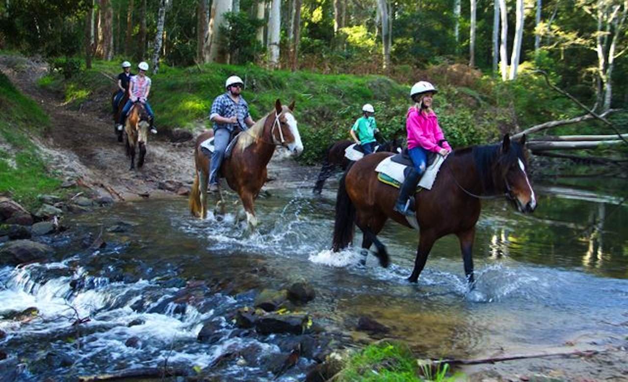 The Ten Best Places to Go Horse Riding Near Sydney ...