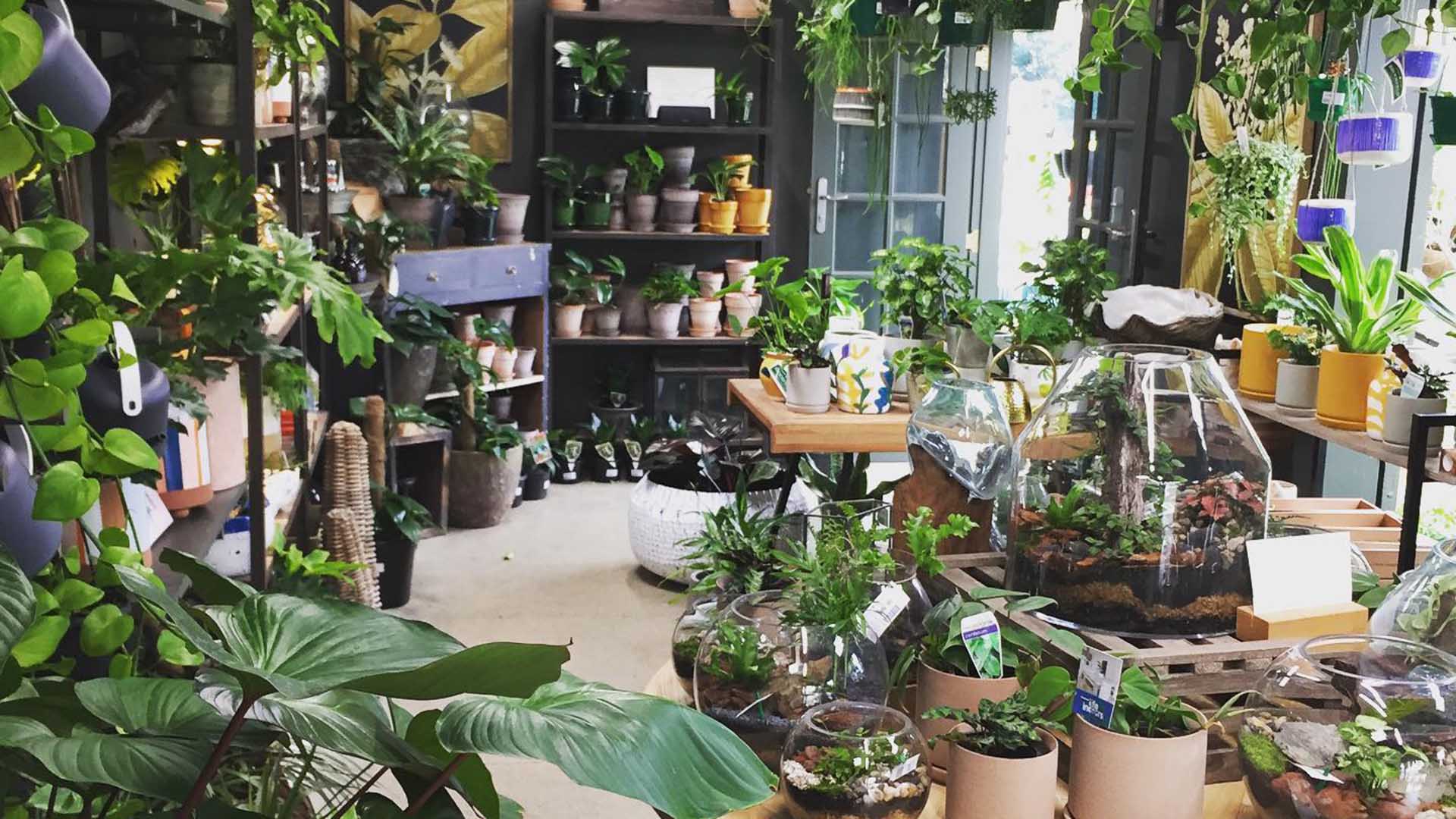 The main store at Brookfields Nursery - one of the best Brisbane nurseries and plant shops