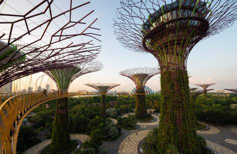 Five Reasons Why You Should Travel to Singapore this Long Weekend