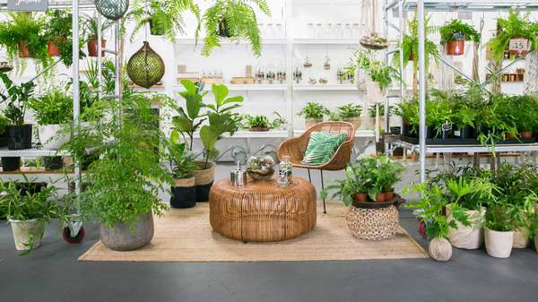 The Soul Pantry full of greenery and plants - one of the best nurseries and plant shops in brisbane