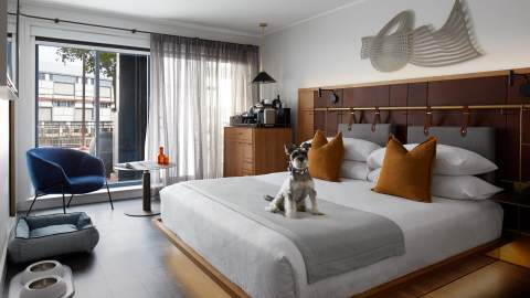 Pier One - one of the best dog-friendly hotels in Sydney(pet-friendly hotel Sydney)