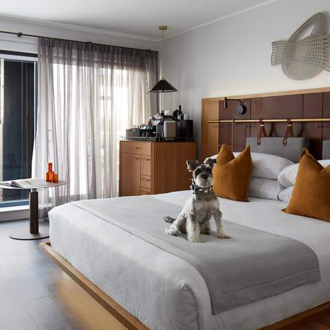 Pier One - one of the best dog-friendly hotels in Sydney(pet-friendly hotel Sydney)