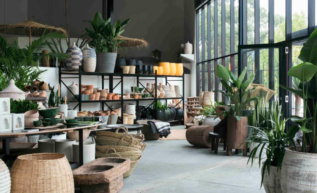 Plant shop. Растения в интерьере. Растения в интерьере квартиры. Искусственные растения в интерьере. Цветы в интерьере дома.