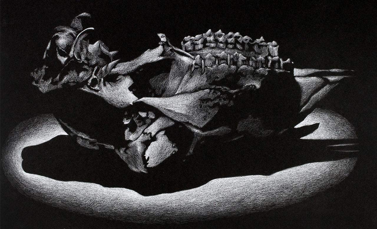 Jono Gooley: The Skull of the Unknown Sheep