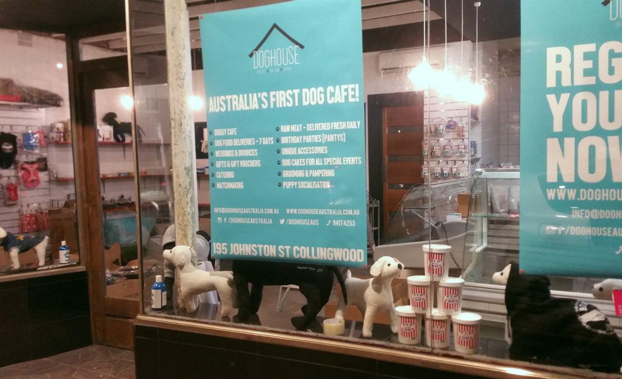 Melbourne's Getting Its First Ever Dog Cafe Concrete Playground