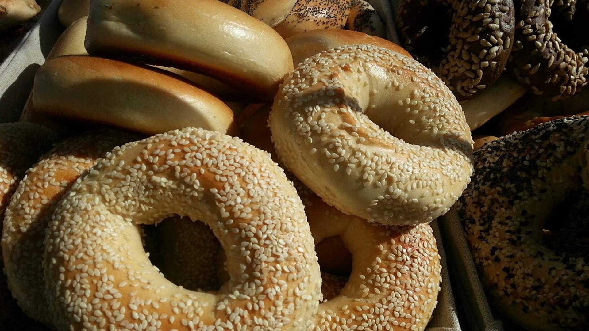NYC Bagel Deli Is Setting Up a Permanent Store in West End Concrete