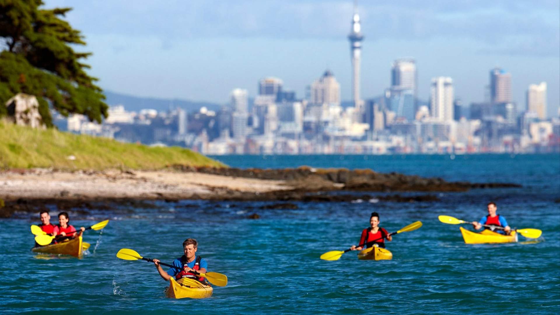 The Six Best Office Bonding Activities in Auckland Concrete Playground