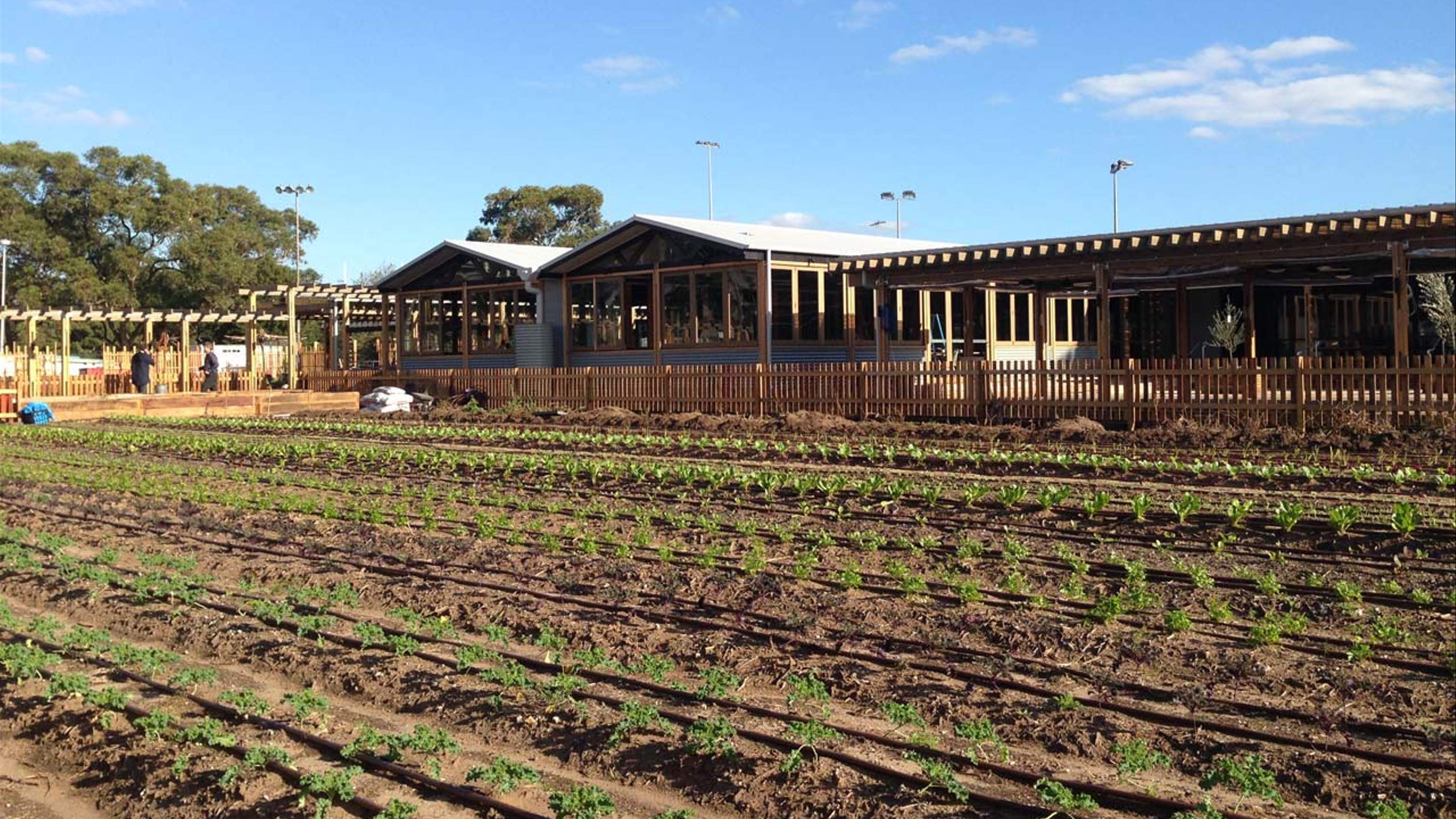 Inside Camperdown Commons, Sydney's New Urban Farm and Eatery Concrete Playground