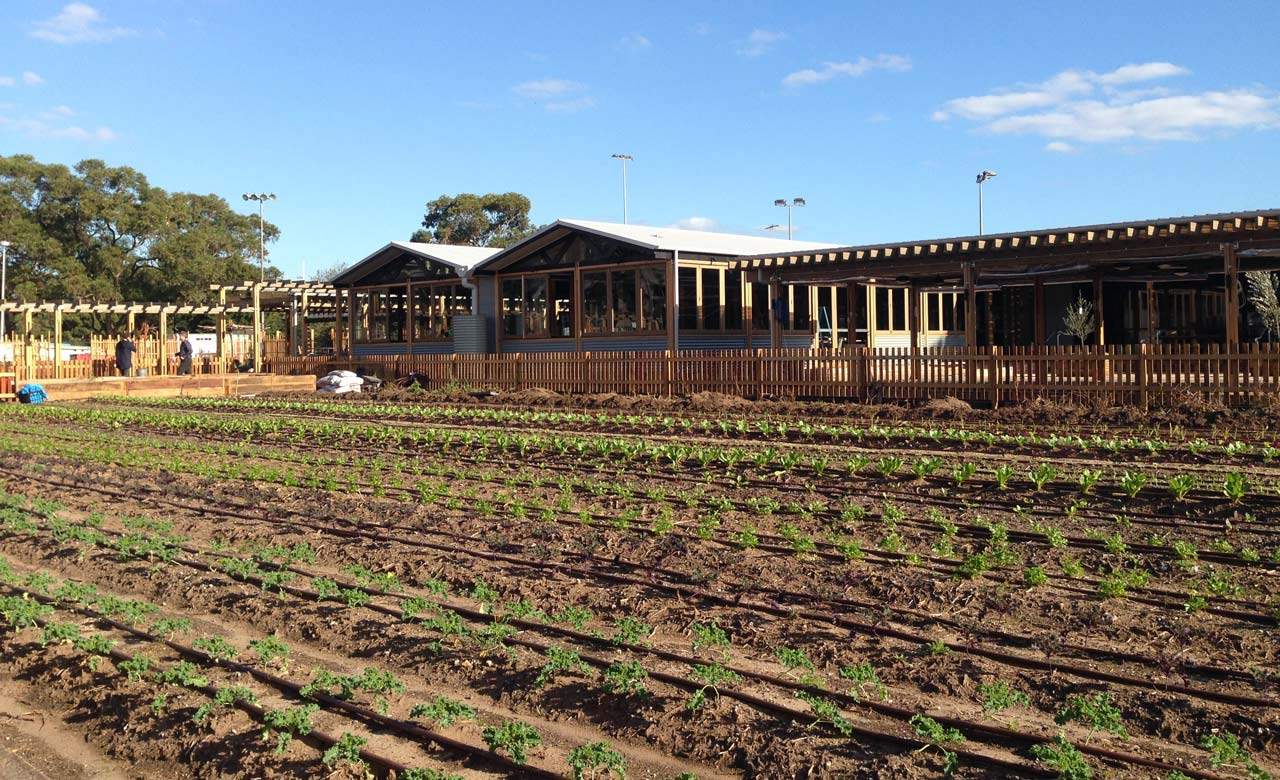 Inside Camperdown Commons, Sydney's New Urban Farm and Eatery
