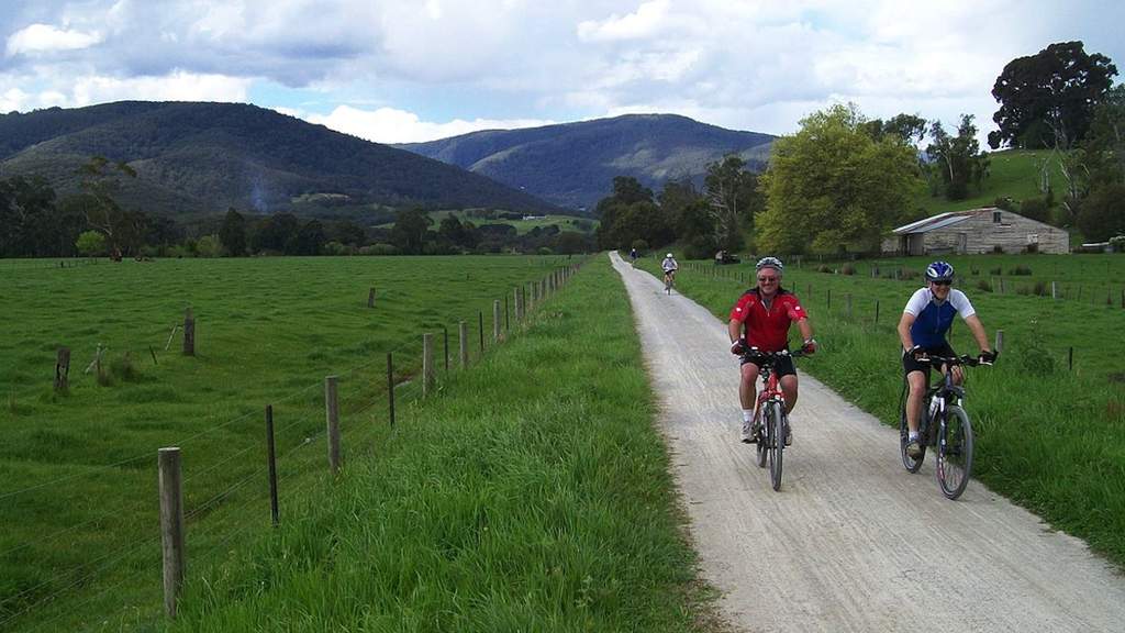 Picnic and Bike Ride on the Lilydale to Warburton Rail Trail