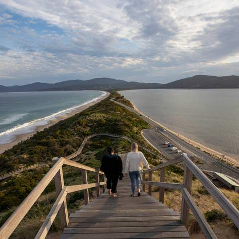 The Neck Bruny Island