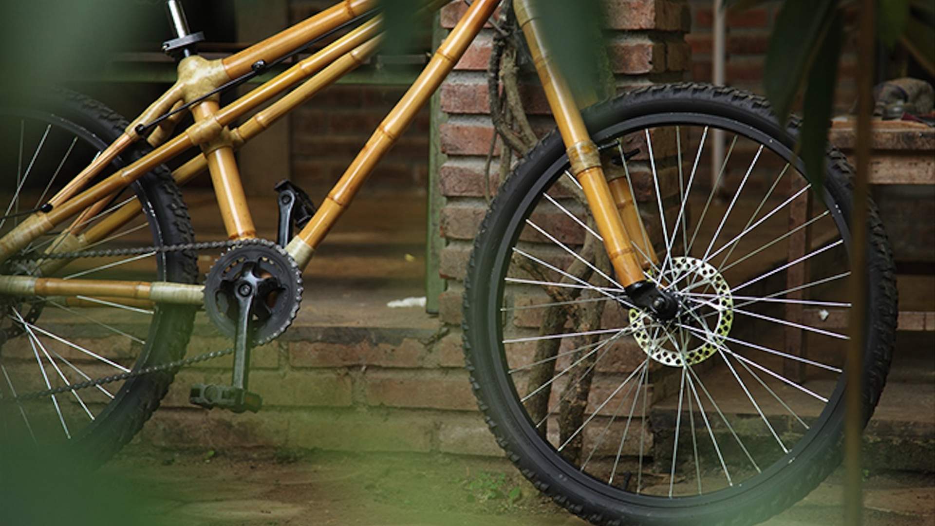 Bamboo Bmx Frame Loma Bamboo Bicycle Frame 700c Road Cycling By