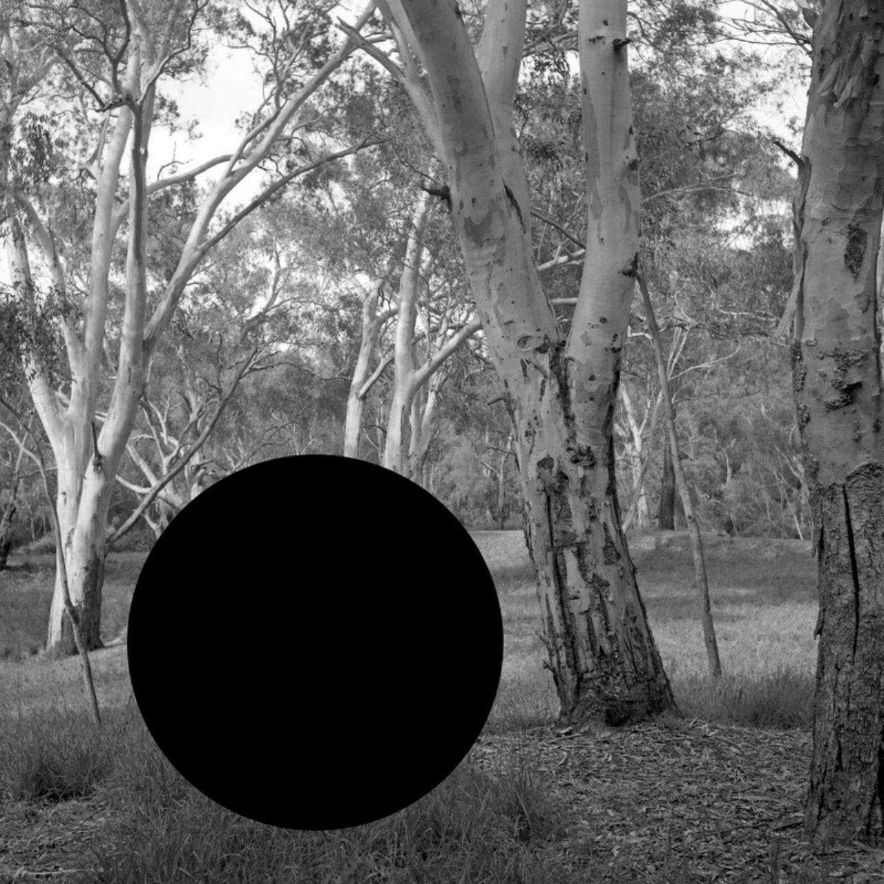 James Tylor, (Erased Scenes) From an Untouched Landscape #5 (2014), Artbank collection.