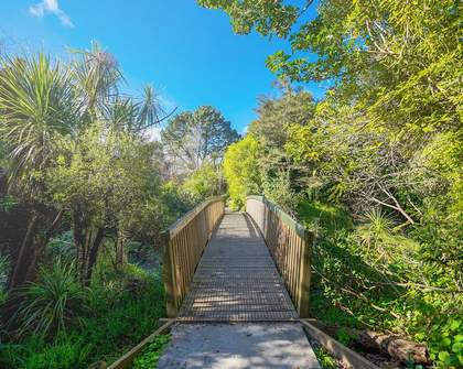 The Ten Best Inner City Running Trails in Auckland