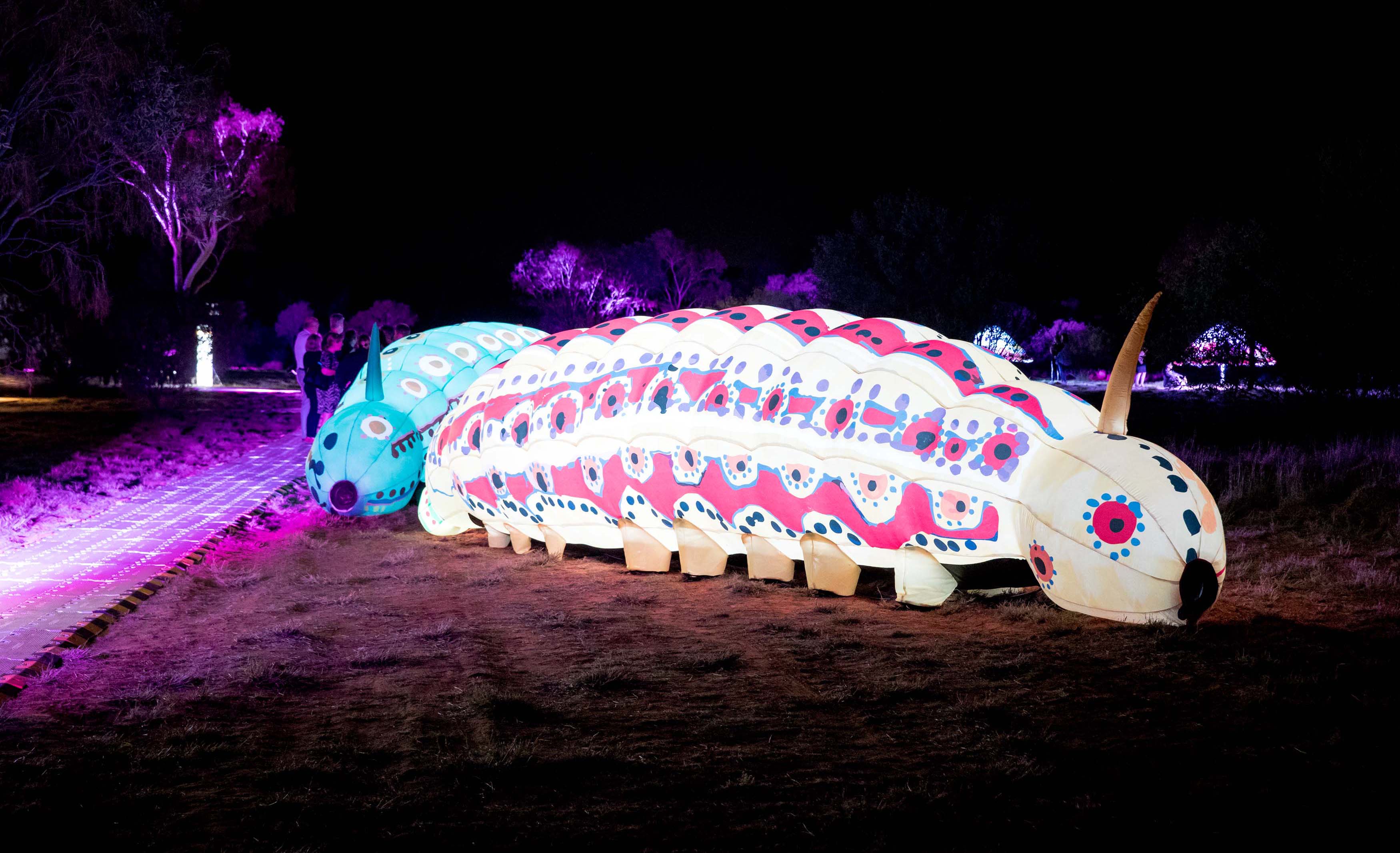 Australia's Biggest Light Installation Has Been Unveiled in Alice Springs