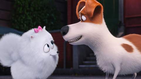 The Secret Life of Pets