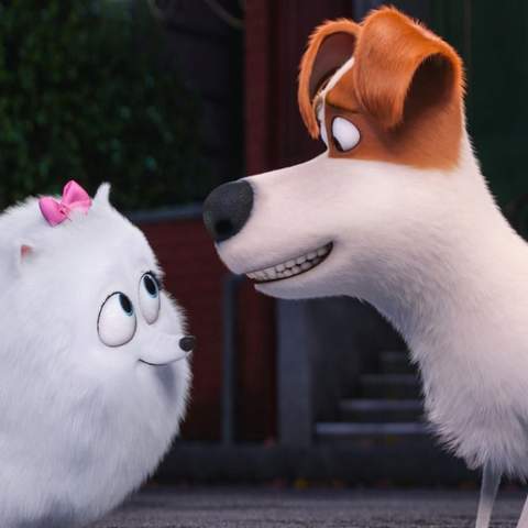 The Secret Life of Pets