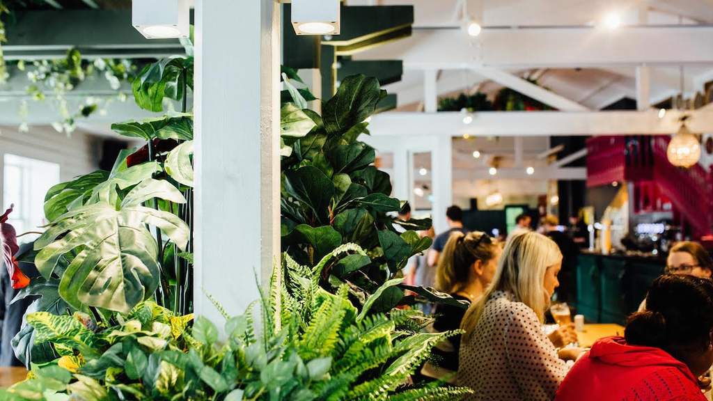 The Good Home, Mt. Eden Review