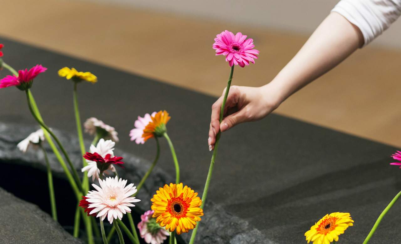 NGV's New Exhibition Will See 100,000 Flowers Traded Among Strangers