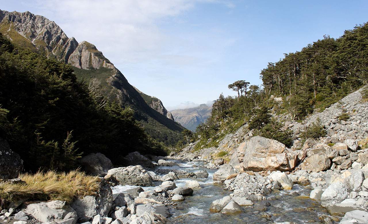 A Guide to the Breathtaking Nature in New Zealand's Christchurch Region