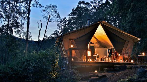 Nightfall in Lamington National Park - some of the best glamping near Brisbane, Queensland.