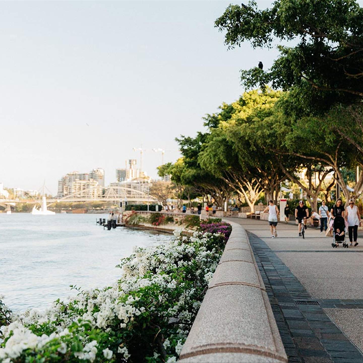 How Expo 88 Created Brisbane's South Bank Parklands