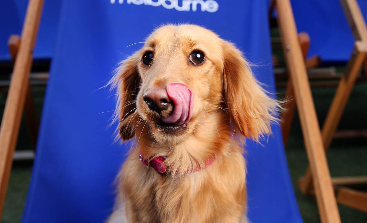 Melbourne CBD's Deckchair Outdoor Cinema Returns for Summer