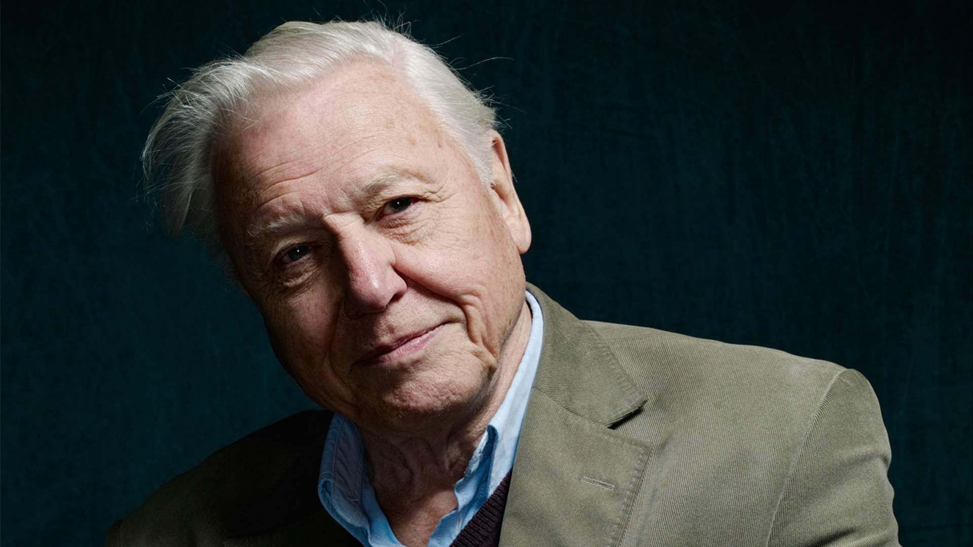 Сер д. David Attenborough. Сэр Дэвид. Мэри Аттенборо. Pauline Attenborough.