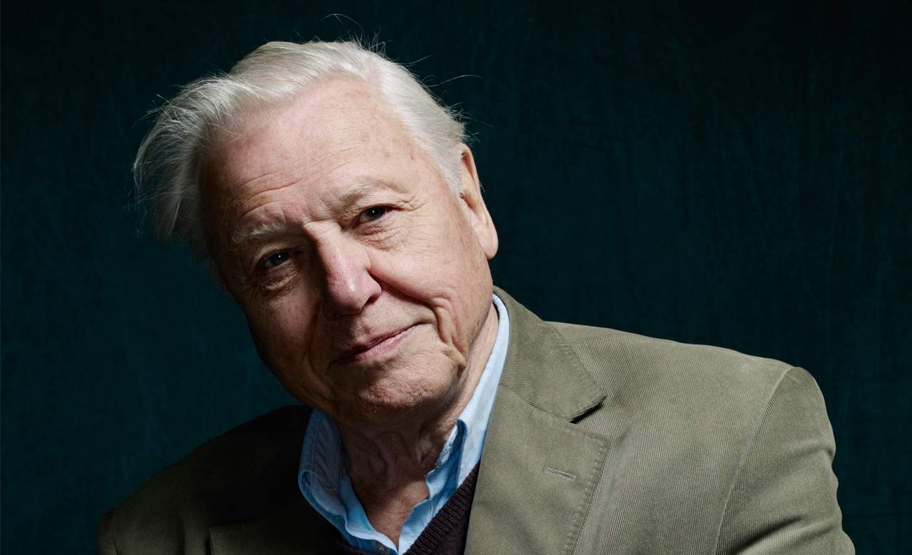 Sir David Attenborough – A Quest For Life