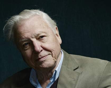 Sir David Attenborough – A Quest For Life