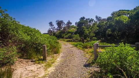 This Private Beach on the NSW Coast Has Just Gone Up for Sale