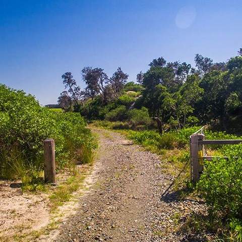 This Private Beach on the NSW Coast Has Just Gone Up for Sale