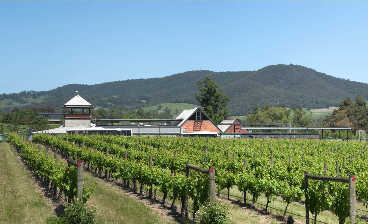 The Yarra Valley Is Getting a New Wine and Food Festival