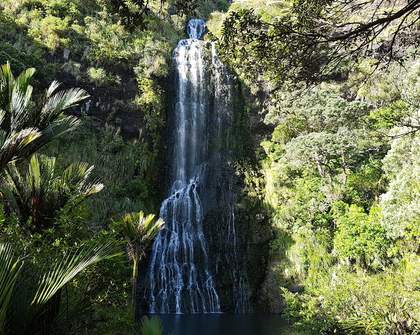 The Best Waterfalls to Swim Under Near Auckland