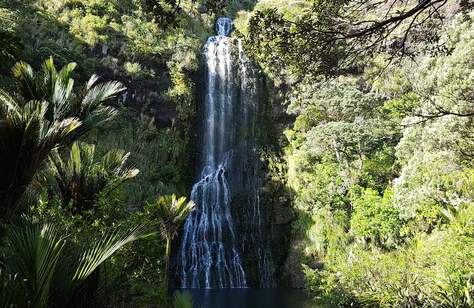 The Best Waterfalls to Swim Under Near Auckland