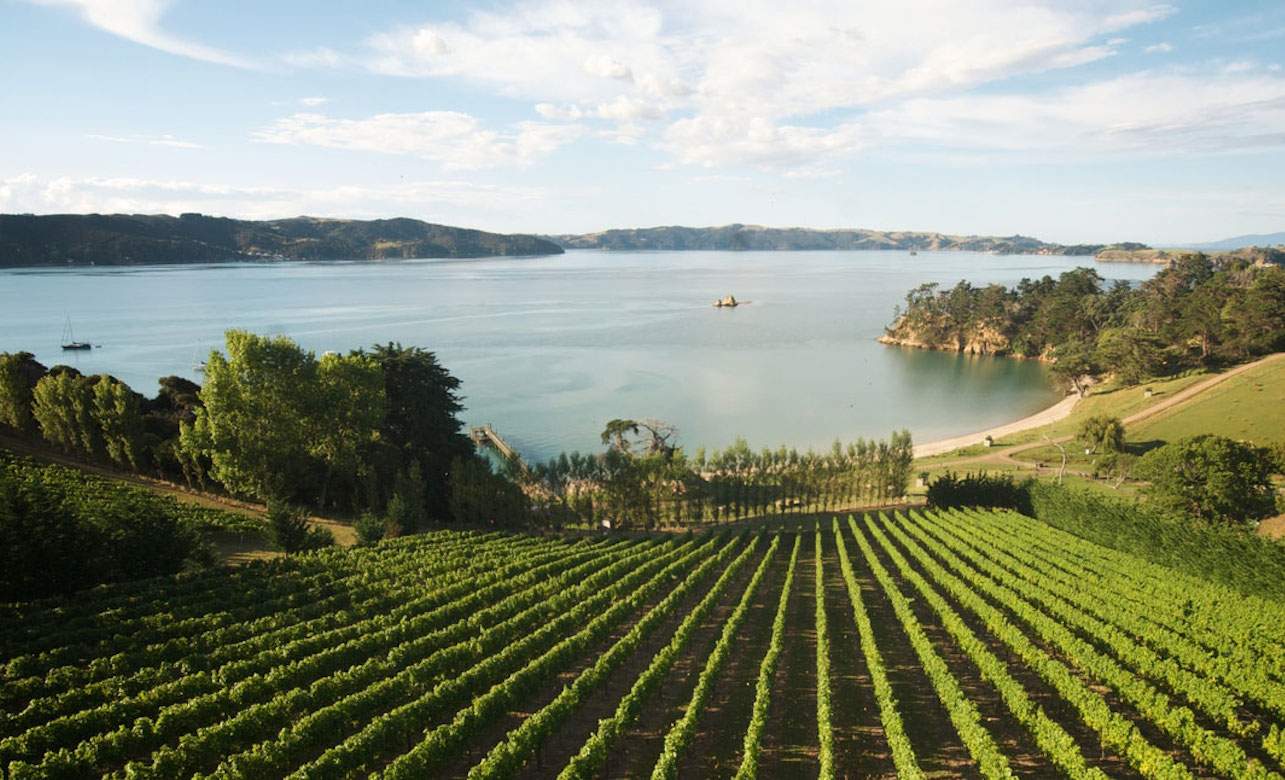 Four Waiheke Winemakers Are Jumping the Gulf For a Collaborative Dinner
