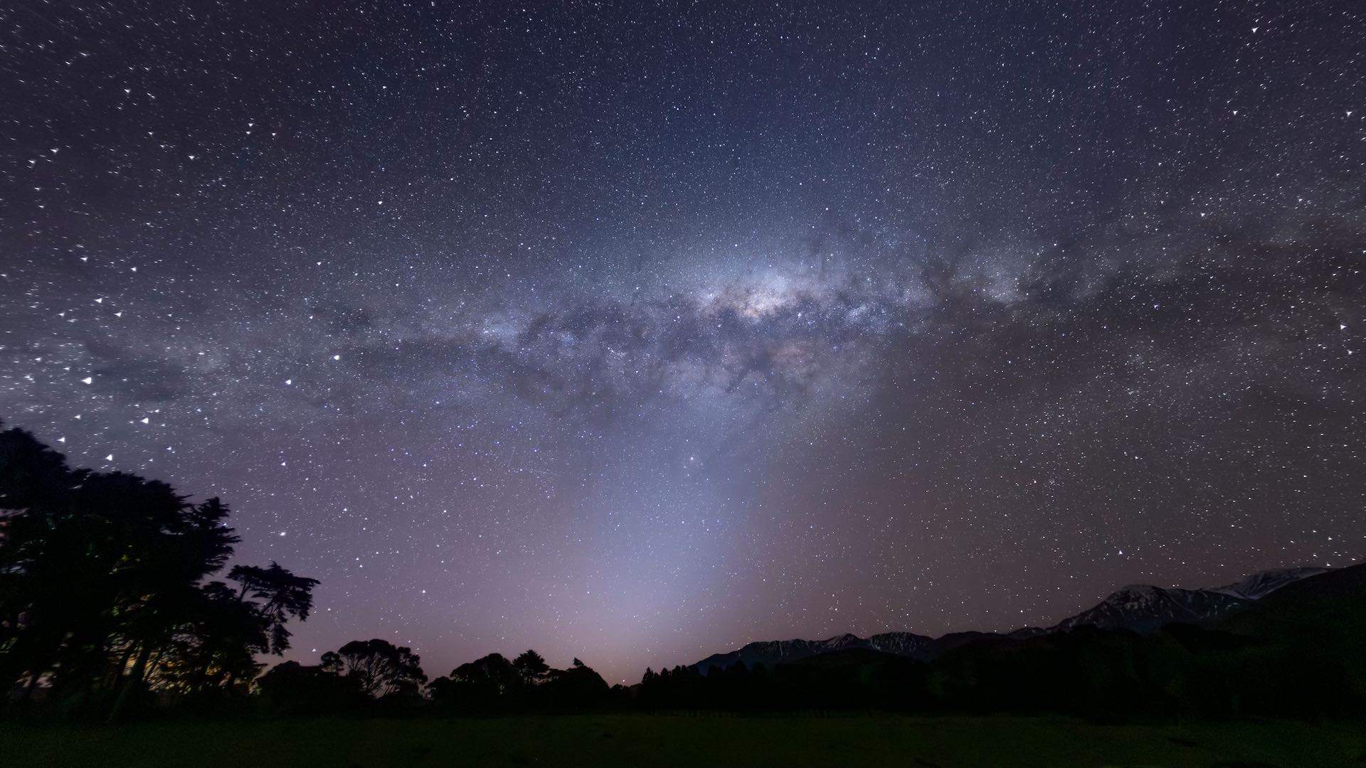 A Guide to the Breathtaking Nature in New Zealand's Christchurch Region