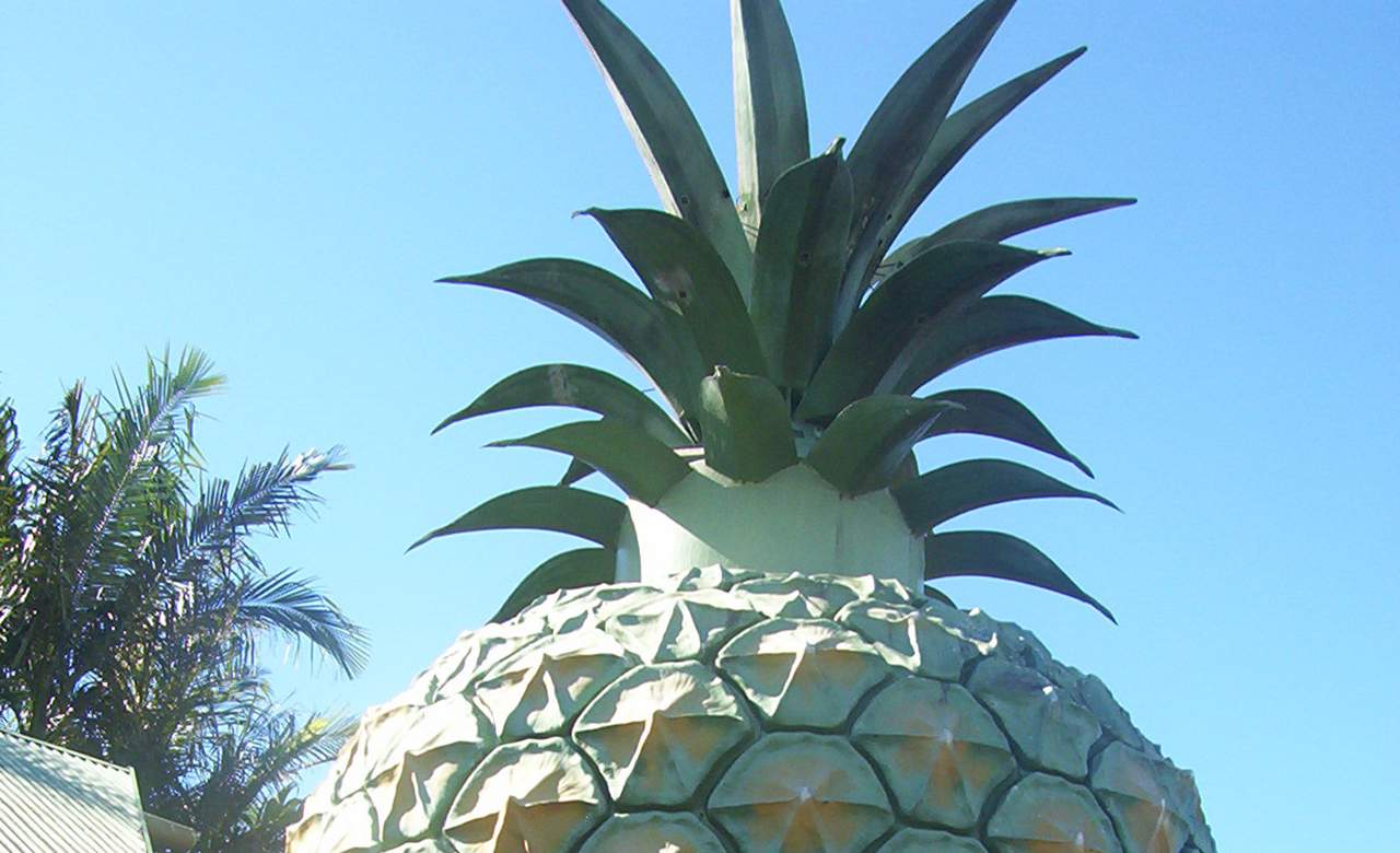 Glamping Might Be Coming to Queensland's Big Pineapple