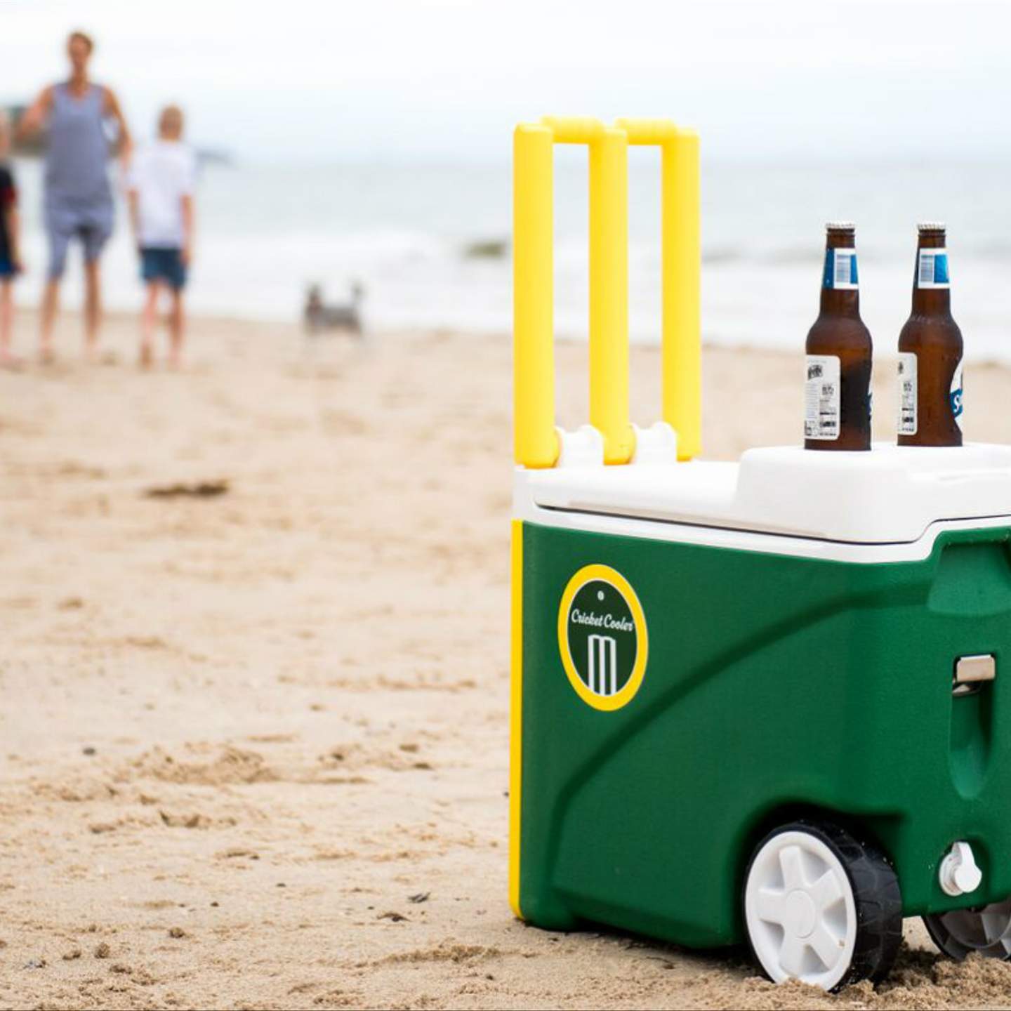 Cricket cooler best sale