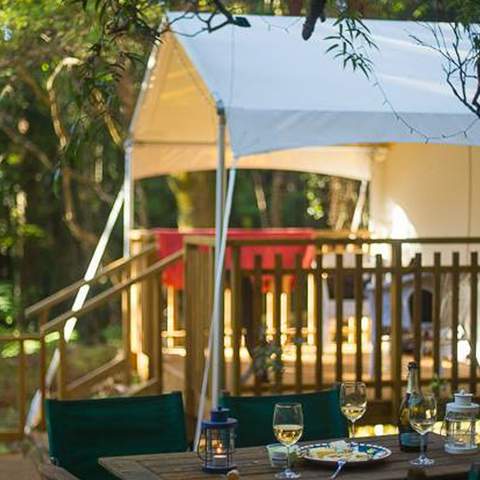 The Eight Best Glamping Experiences Near Auckland