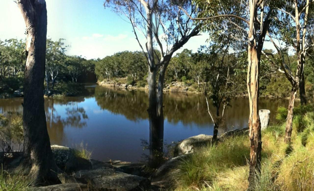 a big summer bucket list of sydney beaches, pools and swimmi