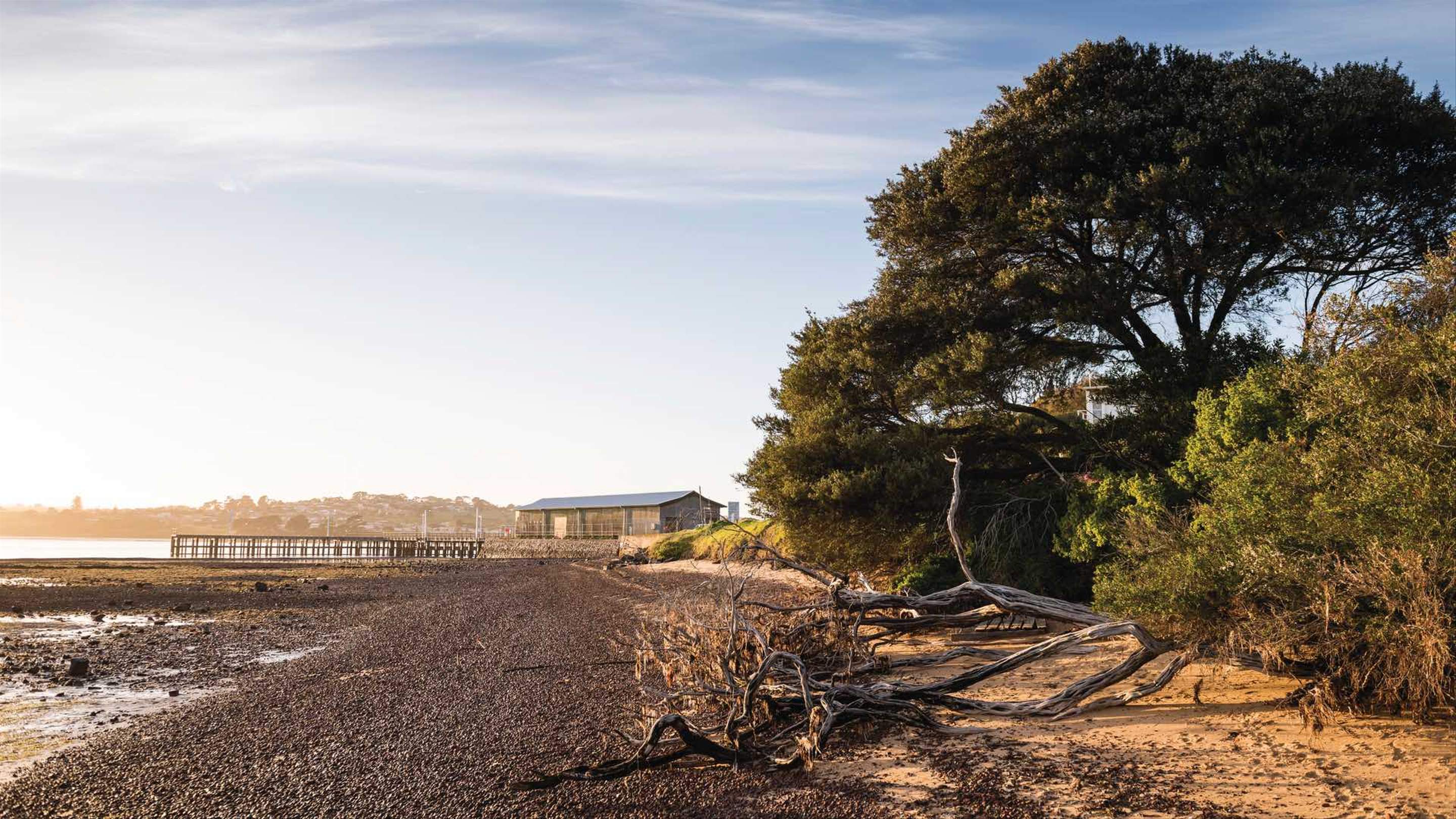 The Ten Best Beach Camping Spots in Victoria Concrete Playground