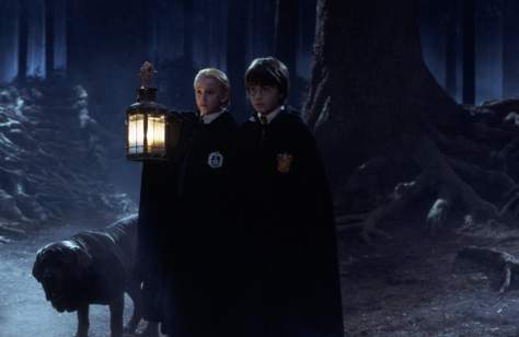 You'll Soon Be Able to Trek Through Harry Potter's Forbidden Forest